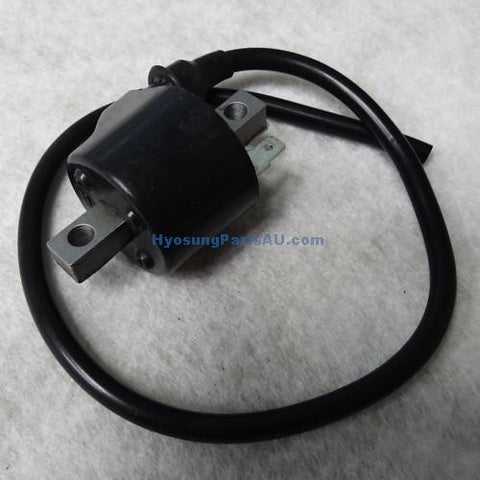 GENUINE NEW IGNITION COIL HYOSUNG SB50ZR SD50 SF50B EZ100 EZ100 FX110 SB50ZR SD50 SF50B