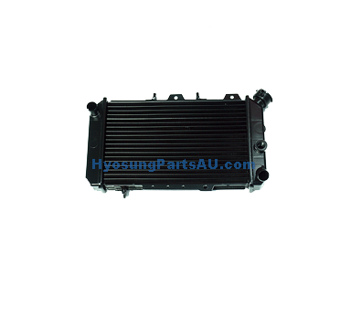 GENUINE RADIATOR COOLER ALUMINUM GT650 GT650R GT650S (BLACK) GT650 GT650R GT650S